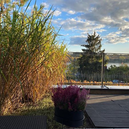 Apartament Winnica Stary Toruń Buitenkant foto